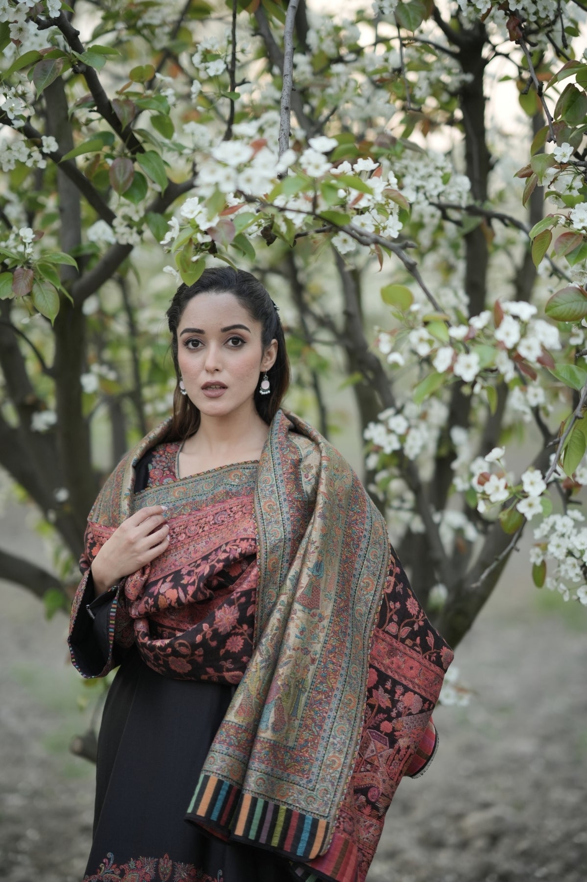 Reversible Kalamkari Kani Zari Shawl