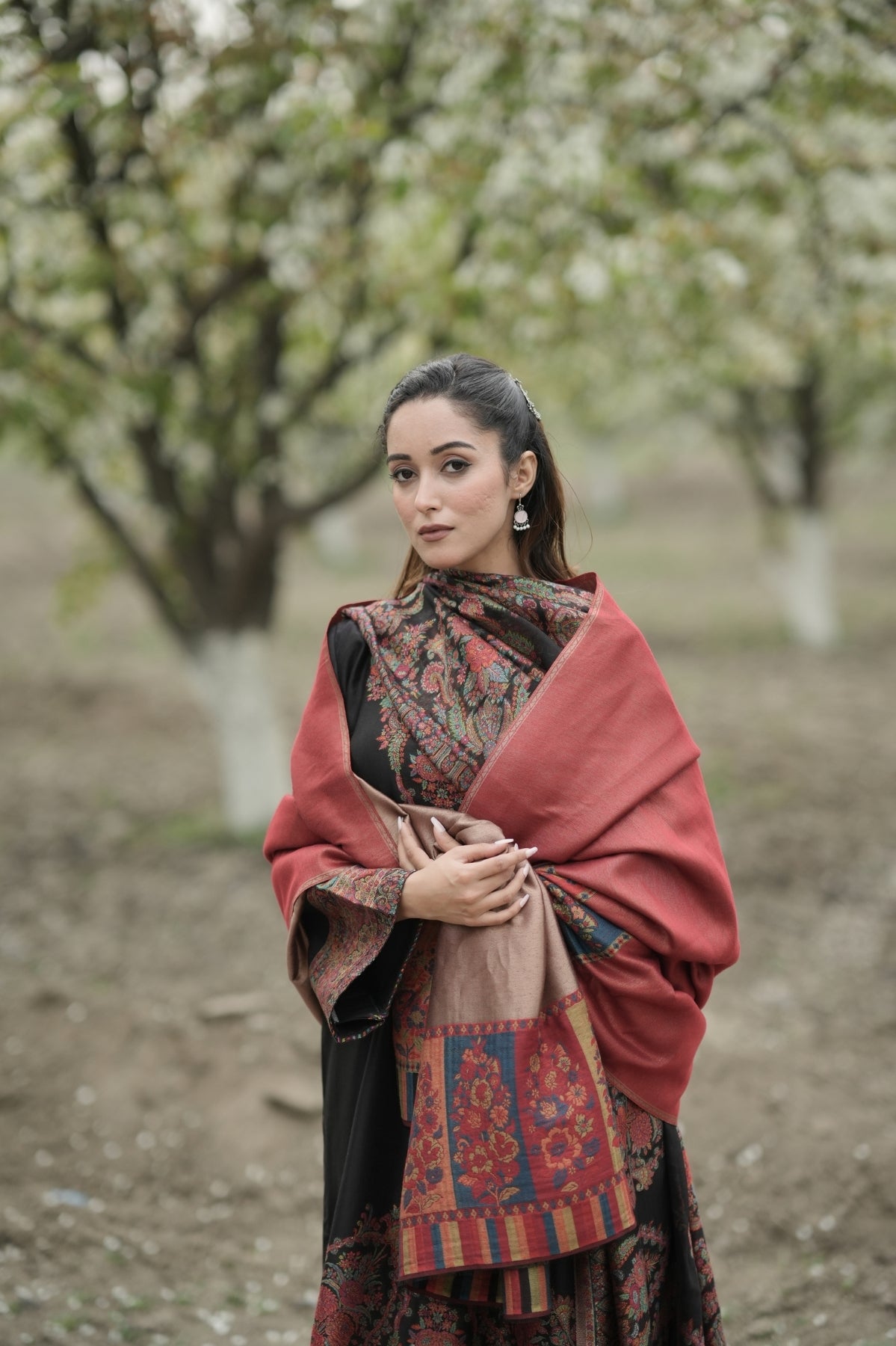 Reversible Palla Kani Shawl