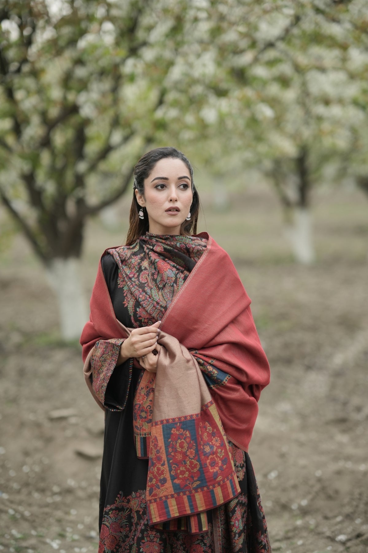Reversible Palla Kani Shawl