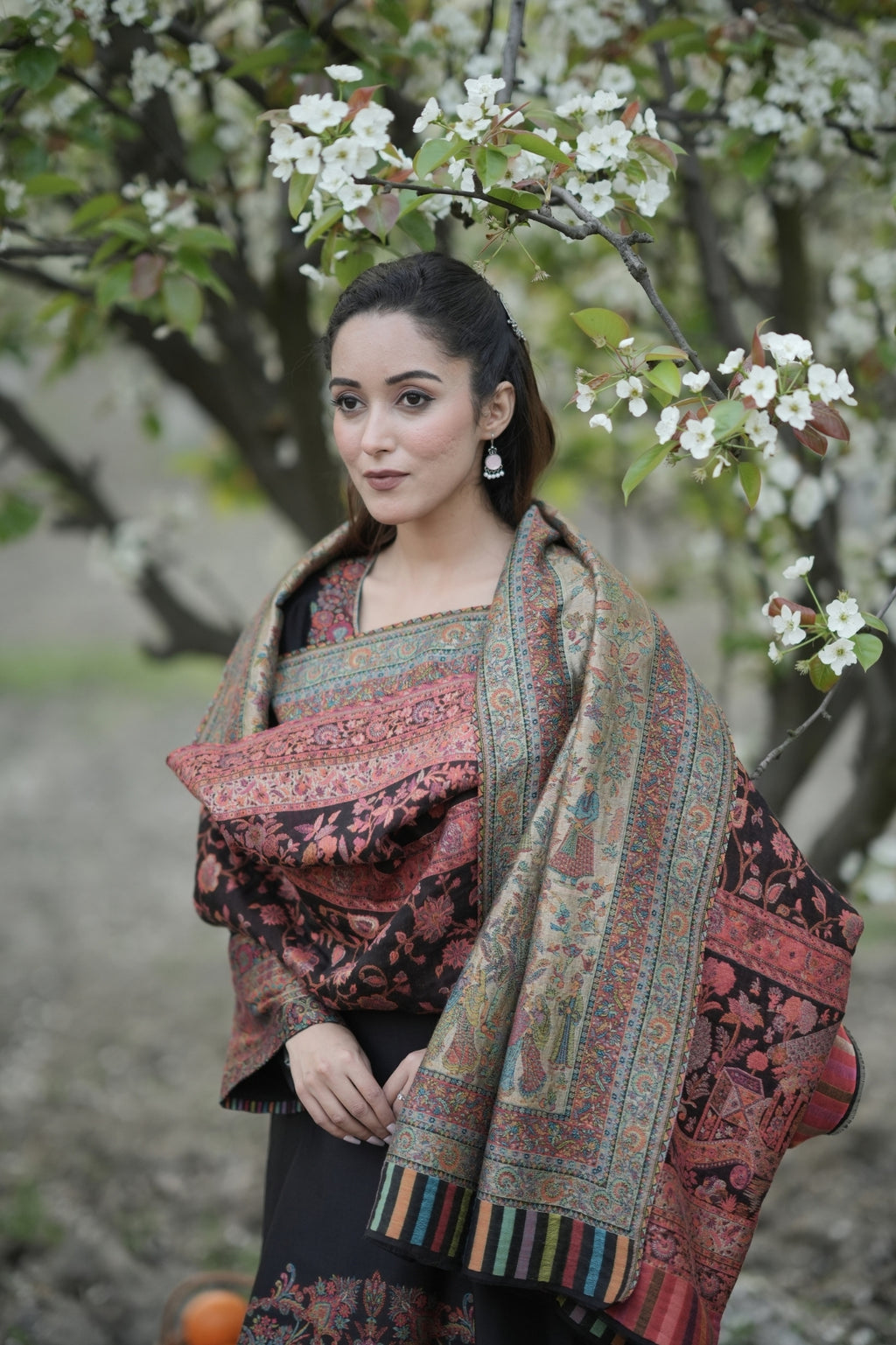 Reversible Kalamkari Kani Zari Shawl