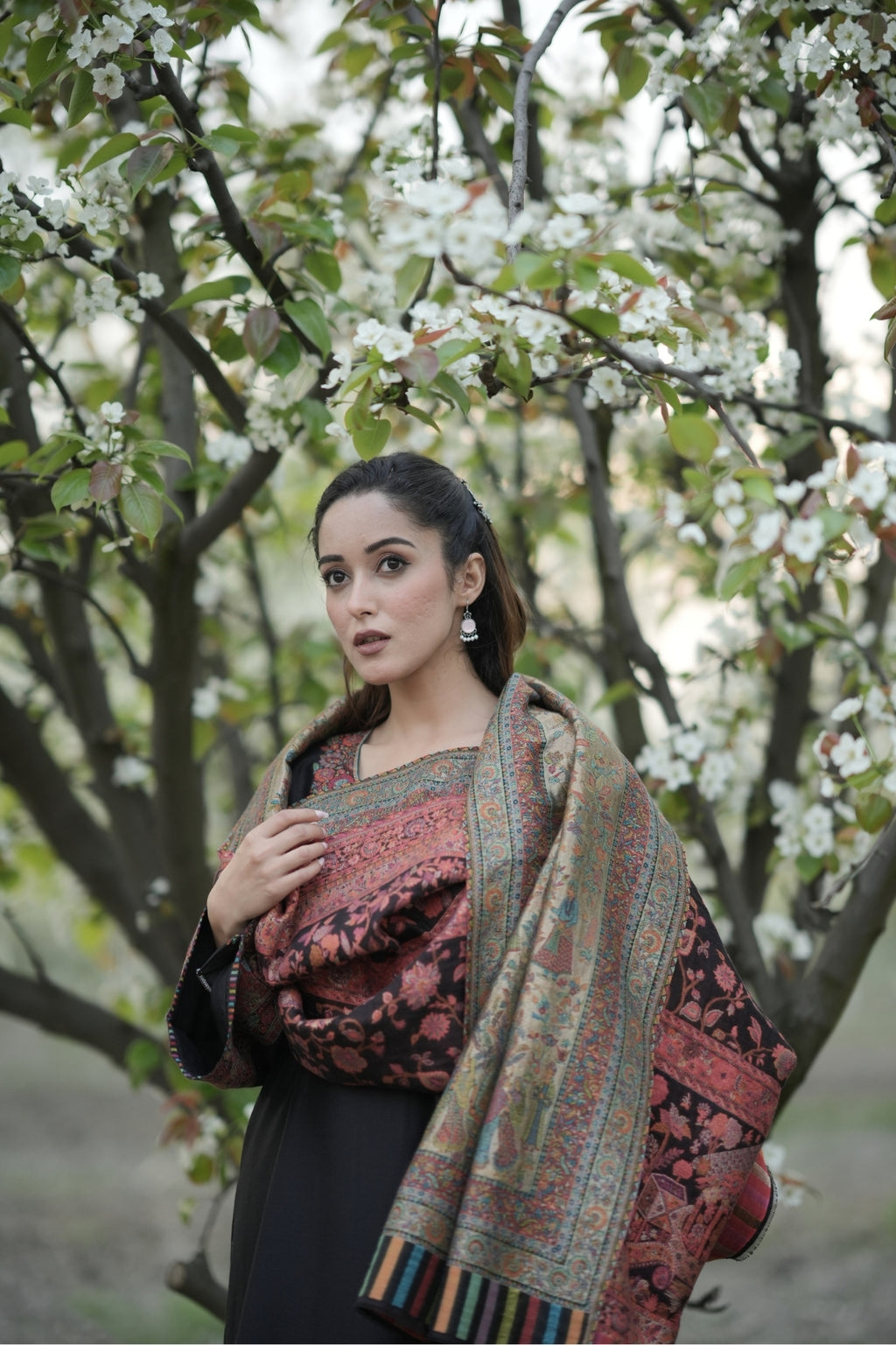 Reversible Kalamkari Kani Zari Shawl