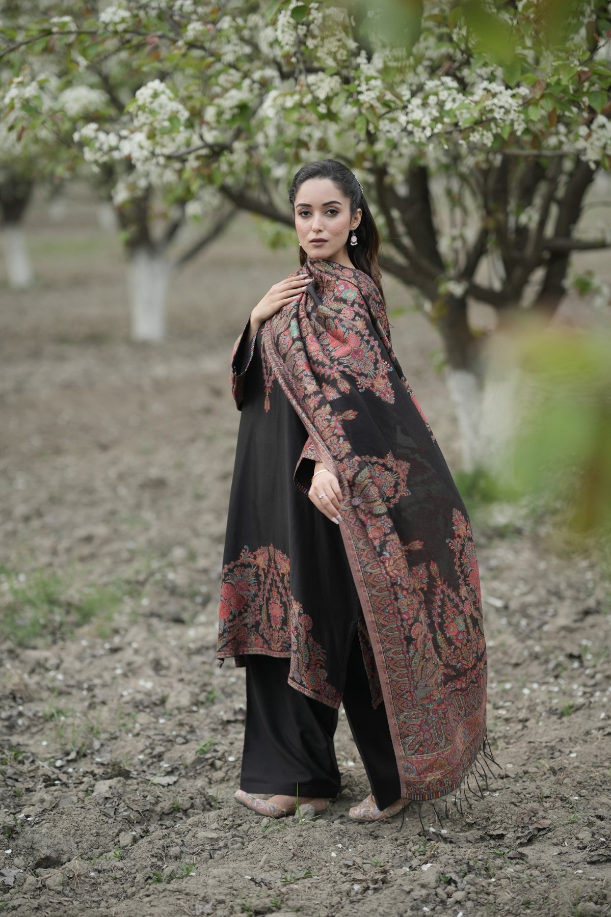 Darbar Shawl